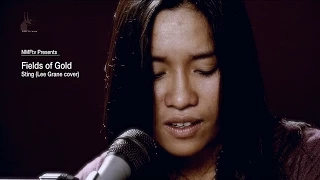 Fields of Gold - Sting (Lee Grane cover)