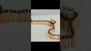 Matchstick Chain Reaction Domino Vs Diwali Crackers Experiment #shorts #domino #amazing