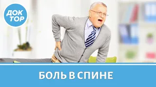 Что делать, когда болит спина