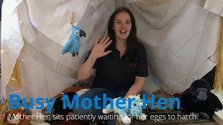 Story Time: Busy Mother Hen