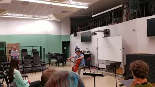 Dvorak Cello Concerto excerpt
