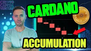 Massive Cardano Buying Pressure! What This Means For ADA Price