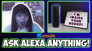 Ask Alexa Anything on OMEGLE!