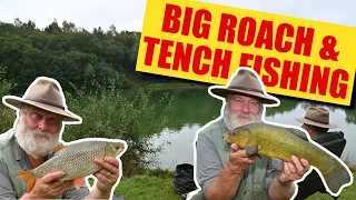 Big Roach and Tench Fishing at Packington Fishery