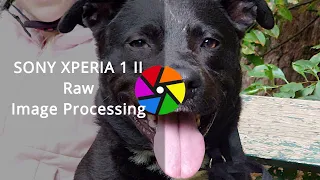 Sony Xperia 1 II RAW image processing