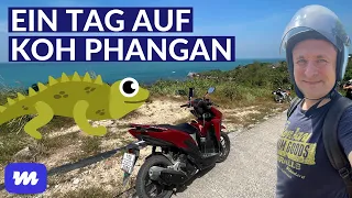 FÜNF STRÄNDE - Mit Scooter auf Koh Phangan - Morr an Land #3