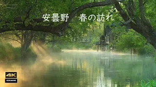 4K映像 ＋ 自然環境音ASMR　安曇野  春の訪れ  Azumino The arrival of spring