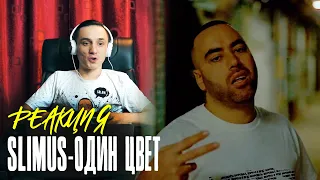 Зацепил Навального. Slimus feat Бразилец - Один цвет. Реакция. Подарок на 23 января.