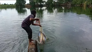 Amazing Cast Net Fishing Skill Catch Tons Of Big Fish - Fastest Traditional Net Fishing in The 🐟