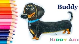 How To Draw Buddy From Secret Life Of Pets / Рисуем Бадди (Тайная жизнь домашних животных)