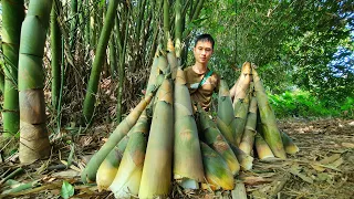 Episode 75 - Harvesting giant bamboo shoots to preserve, Live with nature