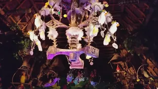 Tiki Room Breaks down on us