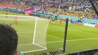 Casemiro Goal Vs Switzerland | Brazil Vs Switzerland