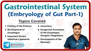 Embryology of Gastrointestinal system - Development of Foregut (Part - 1)