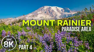 360° VR Relaxation - Scenic Mountain Views and Nature Sounds, Mount Rainier Park - Part #4