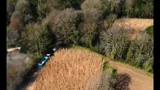 Miscanthus - Intérêts environnementaux et débouchés