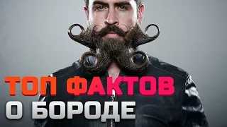 ТОП ФАКТОВ О БОРОДЕ