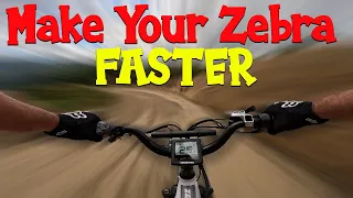 Make Your Himiway Zebra Faster