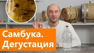 Самбука в домашних условиях | Приготовление и дегустация