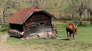 Life in The Mountains Far From Civilization at The Edge of The World in Springtime