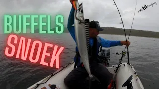 Buffels Snoek(Fish Finder Showing Snoek)