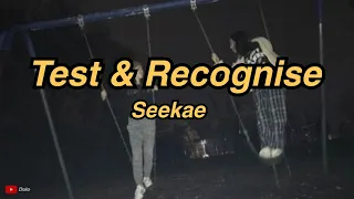 Seekae - test & recognise (flume re-work) // Lyrics