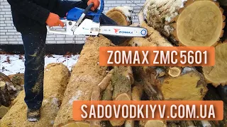 Бензопила Зомакс ЗМС 5601/ZOMAX ZMC 5601🔥🪚Тест-драйв