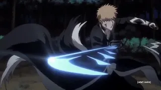 Ichigo defeats Ginjo