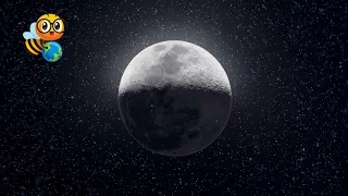What is the Moon? | Educational Video for Kids