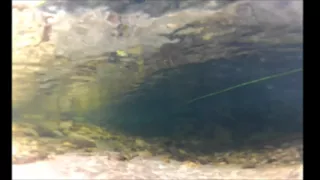 Gopro fly fishing underwater view