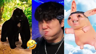 BEST JeffreyX Funny Try Not To Laugh Challenge Compilation 🤣 2024 Part 10