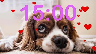 15 Minute 💗 Valentine's Day 💗 Puppy Dog Countdown Timer
