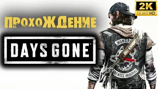 Days Gone ▶ Прохождение #15