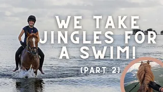 "I'M SWIMMING!!" Bareback Riding in the Ocean 🌊🏝️ - Taking Jingles to the beach [Part Two]