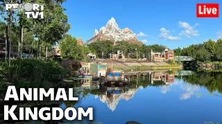 🔴Live: A Wild Morning at Disney's Animal Kingdom - 9-25-22 - Walt Disney World Live Stream
