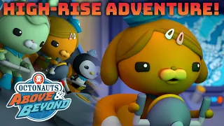 Octonauts: Above & Beyond - Dashi's High-Rise Adventure! ⛅✈️ | Compilation | @OctonautsandFriends