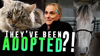 They've been adopted? -  Horse Shelter Heroes S4E9