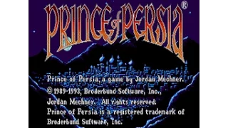 Mega-CD Longplay [108] Prince of Persia