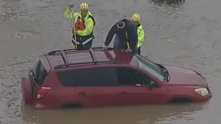 Stranded driver rescued from flood waters in Sepulveda Basin