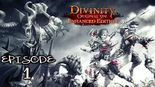 Divinity Original Sin Enhanced Edition - Episode 1: Cyseal shores & Tutorial dungeons