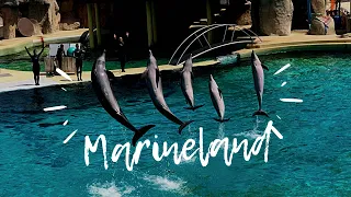 🐬On passe la journée à Marineland !