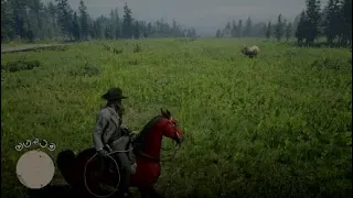 Red Chestnut Arabian vs Grizzly bear|Red dead Redemption 2