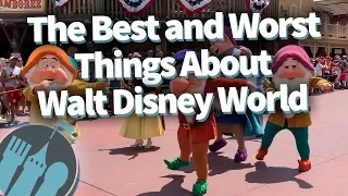 The Best and Worst Things About Walt Disney World!