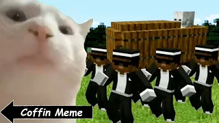 Coffin Meme but Cat is Vibing in Minecraft Part 3