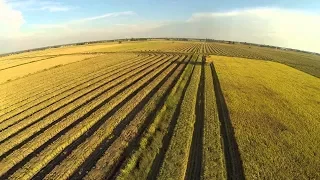 China has found a way to turn deserts into forests