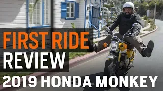 Honda Monkey First Ride Review
