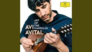 Vivaldi: Concerto for 2 Mandolins in G Major, RV 532 - II. Andante