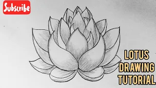 How To Draw A Lotus Flower Easy Step By Step