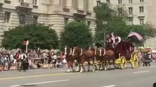 National Memorial Day Parade Monday, May 25, 2015