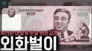 경제재제에 식량난 북한은 어떻게 돈을 버는 걸까 "북한 외화벌이"